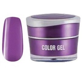  ​Color Gel nr. 213 - Perfect Nails, fig. 1 